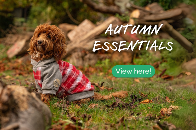 Autumn Essentials